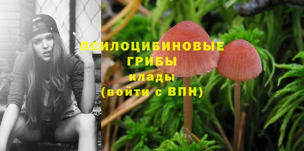 амф Алапаевск