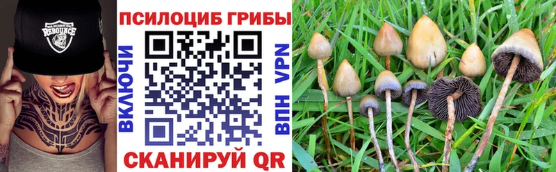 купить закладку  блэк спрут   Псилоцибиновые грибы мицелий  Обнинск 