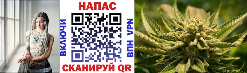 kraken как зайти  как найти закладки  Обнинск  Канабис MAZAR 